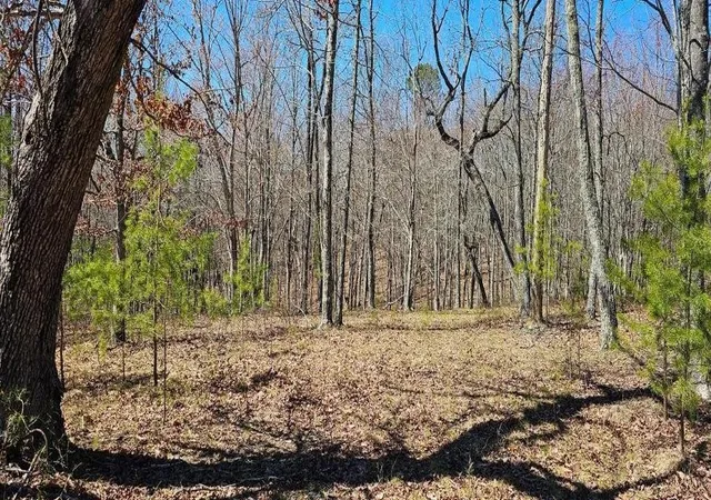 Photo 3 of Land for sale at 103 Bluffview Dr, Dunlap, TN 37327 | MLS# 3599159 | Listing updated on 2026-09-25
