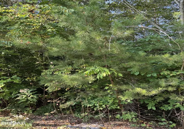 Photo 2 of Land for sale at 0 Progress Hl Dr, Pigeon Forge, TN 37863 | MLS# 3599171 | Listing updated on 2026-09-25
