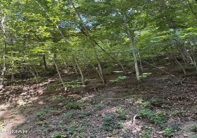 Photo 1 of Land for sale at 0 Progress Hl Blvd, Pigeon Forge, TN 37863 | MLS# 3599178 | Listing updated on 2026-09-25