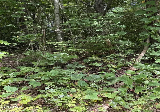 Photo 2 of Land for sale at 0 Progress Hl Blvd, Pigeon Forge, TN 37863 | MLS# 3599178 | Listing updated on 2026-09-25