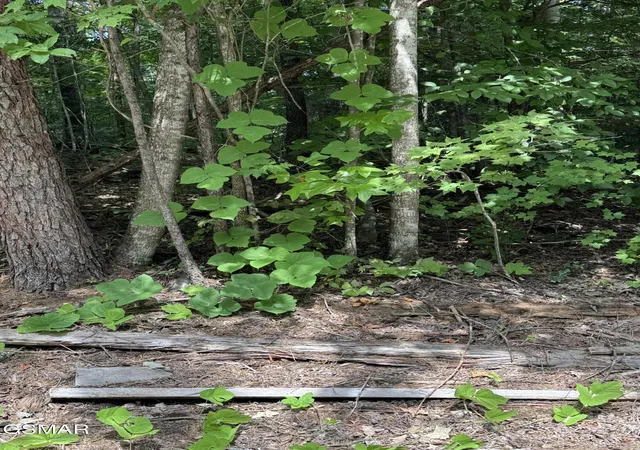 Land for sale at 0 B Ogle Ln, Sevierville, TN 37876 | MLS# 3599189