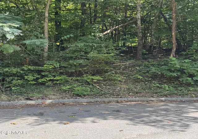 Land for sale at 0 Sb Ogle Ln, Pigeon Forge, TN 37876 | MLS# 3599195
