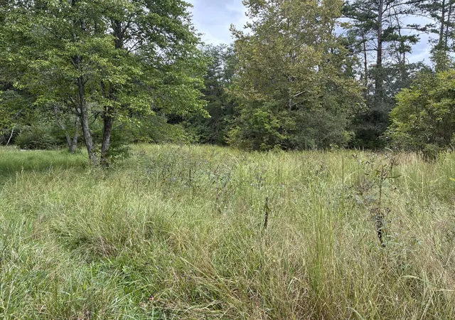 Photo 3 of Land for sale at 0 County Rd 613, Athens, TN 37303 | MLS# 3601530 | Listing updated on 2026-09-26