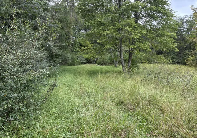 Photo 4 of Land for sale at 0 County Rd 613, Athens, TN 37303 | MLS# 3601530 | Listing updated on 2026-09-26