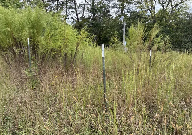 Photo 2 of Sale Pending at 172 County Rd 613, Athens, TN 37303 | MLS# 3601531 | Listing updated on 2026-09-26