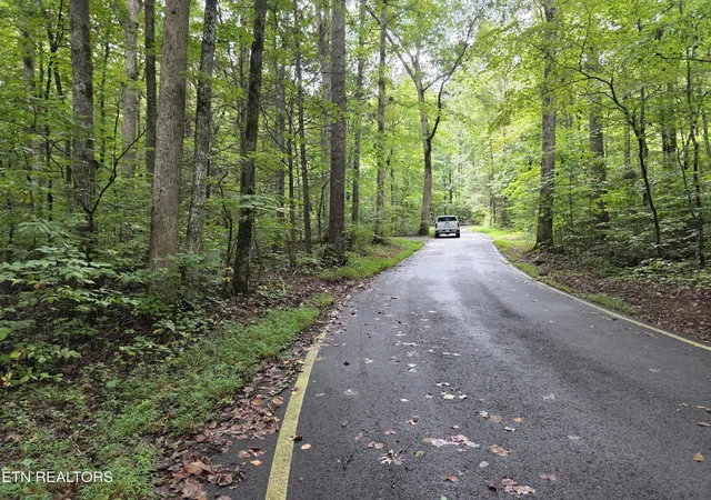 Photo 3 of Land for sale at 165 Lail Ln, Townsend, TN 37882 | MLS# 3599293 | Listing updated on 2026-09-25