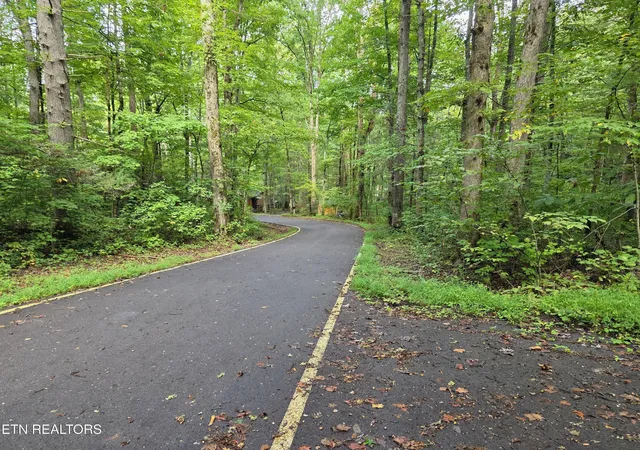 Photo 3 of Land for sale at 165 Lail Ln, Townsend, TN 37882 | MLS# 3599293 | Listing updated on 2026-09-25
