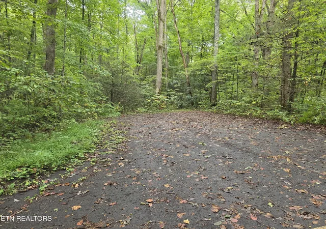 Photo 4 of Land for sale at 165 Lail Ln, Townsend, TN 37882 | MLS# 3599293 | Listing updated on 2026-09-25