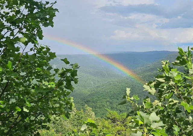 Photo 3 of Land for sale at 0 Grassy Ridge Rd, Beersheba Springs, TN 37305 | MLS# 3601983 | Listing updated on 2026-09-28