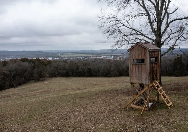 Photo 4 of House for sale at 0 Molino Rd, Fayetteville, TN 37334 | MLS# 3599405 | Listing updated on 2026-09-25