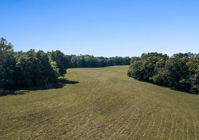 Photo 1 of Land for sale at 5 Albert Fentress Rd, Greenbrier, TN 37073 | MLS# 3601259 | Listing updated on 2026-10-01