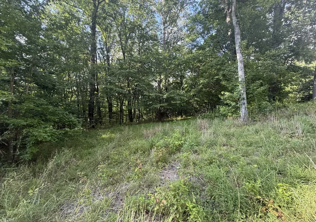 Photo 1 of Land for sale at 0 Willow Holw Rd, Clarksville, TN 37043 | MLS# 3601361 | Listing updated on 2026-09-25