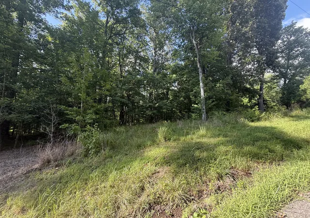 Photo 2 of Land for sale at 0 Willow Holw Rd, Clarksville, TN 37043 | MLS# 3601361 | Listing updated on 2026-09-25
