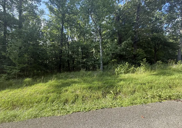 Photo 3 of Land for sale at 0 Willow Holw Rd, Clarksville, TN 37043 | MLS# 3601361 | Listing updated on 2026-09-25