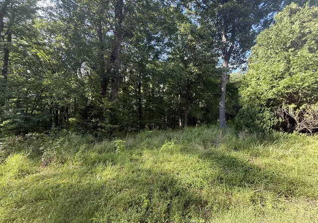 Photo 3 of Land for sale at 0 Willow Holw Rd, Clarksville, TN 37043 | MLS# 3601361 | Listing updated on 2026-09-25