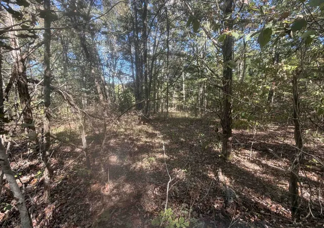 Photo 1 of Land for sale at 0 Doll Conway Rd, Clifton, TN 38425 | MLS# 3601372 | Listing updated on 2026-09-25