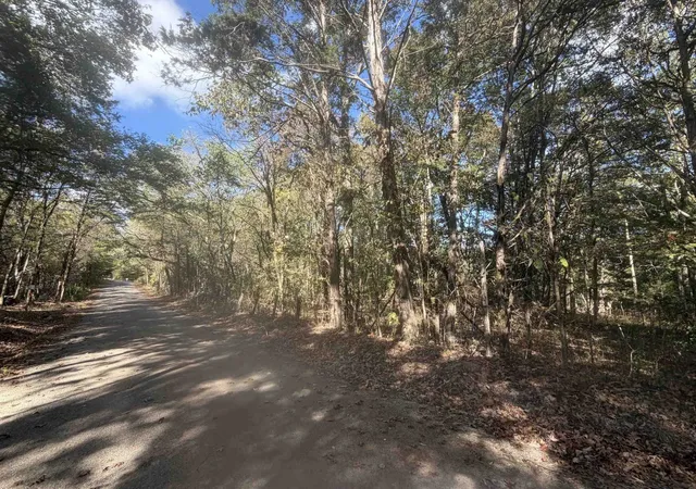 Photo 2 of Land for sale at 0 Doll Conway Rd, Clifton, TN 38425 | MLS# 3601372 | Listing updated on 2026-09-25