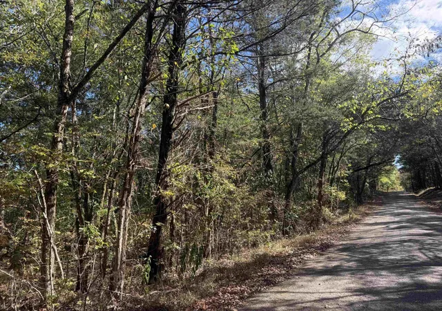 Photo 3 of Land for sale at 0 Doll Conway Rd, Clifton, TN 38425 | MLS# 3601372 | Listing updated on 2026-09-25