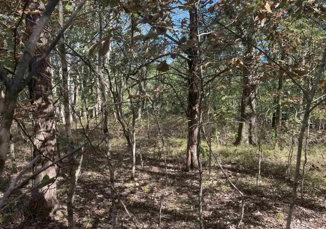 Photo 4 of Land for sale at 0 Doll Conway Rd, Clifton, TN 38425 | MLS# 3601372 | Listing updated on 2026-09-25
