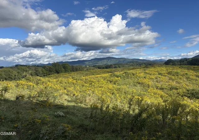 Land for sale at 0 Marry Way, Parrottsville, TN 37843 | MLS# 3601449