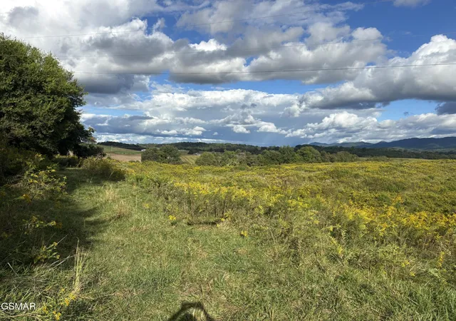 Photo 3 of Land for sale at 0 Marry Way, Parrottsville, TN 37843 | MLS# 3601449 | Listing updated on 2026-09-27