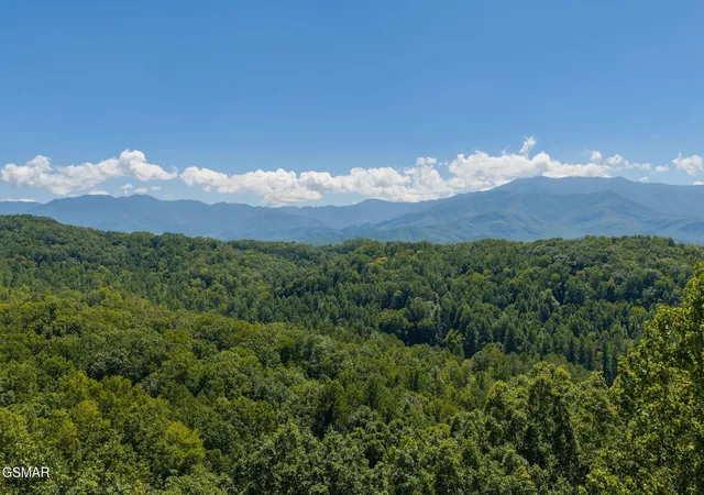 Photo 3 of Land for sale at 2239 Grassy Branch Rd, Sevierville, TN 37876 | MLS# 3601457 | Listing updated on 2026-09-26