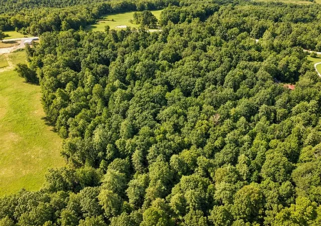 Photo 3 of Land for sale at 2 Nashville Hwy, Deer Lodge, TN 37726 | MLS# 3601875 | Listing updated on 2026-10-09