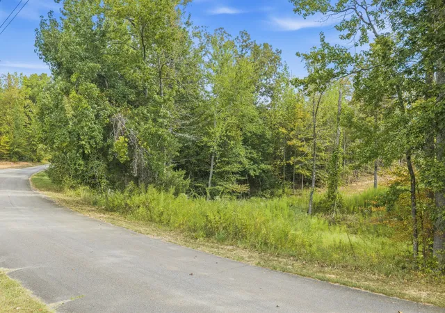 Photo 3 of Land for sale at 0 Mount Zion Cemetery Rd, Lexington, TN 38351 | MLS# 3601632 | Listing updated on 2026-09-26