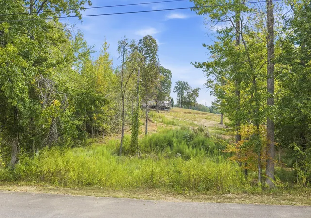 Photo 4 of Land for sale at 0 Mount Zion Cemetery Rd, Lexington, TN 38351 | MLS# 3601632 | Listing updated on 2026-09-26