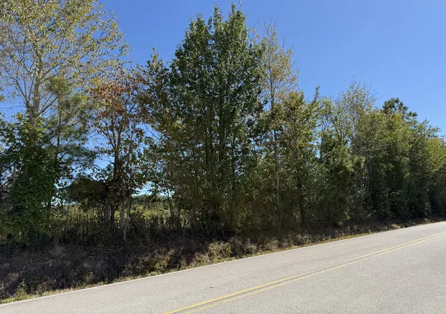 Photo 1 of Land for sale at 0 Old Florence Pulaski Rd, Leoma, TN 38468 | MLS# 3602473 | Listing updated on 2026-09-29