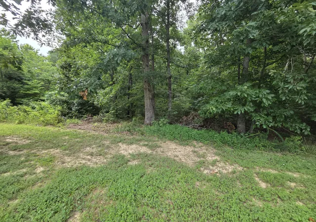 Photo 4 of Manufactured home for sale at 9326 Magnolia Way, Nunnelly, TN 37137 | MLS# 3601691 | Listing updated on 2026-10-10