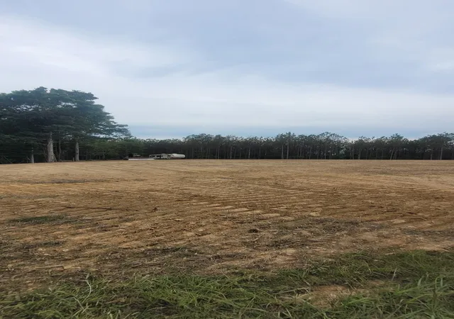 Photo 2 of Land for sale at 136 Ribbon Branch Rd, Dover, TN 37058 | MLS# 3601702 | Listing updated on 2026-09-28