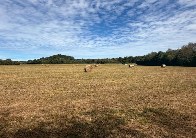 Single family home for sale at 261 Bee Rd, Prospect, TN 38477 | MLS# 3622278