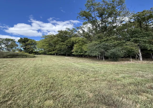 Photo 3 of Land for sale at 0 Bass Rd, Bethpage, TN 37022 | MLS# 3601774 | Listing updated on 2026-09-27