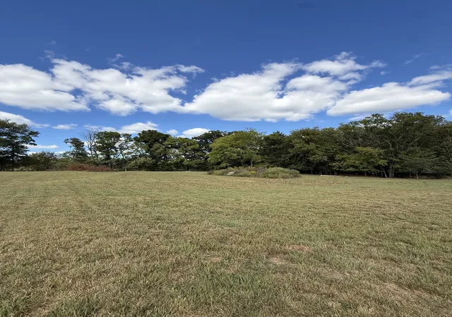 Photo 3 of Land for sale at 0 Bass Rd, Bethpage, TN 37022 | MLS# 3601774 | Listing updated on 2026-09-27