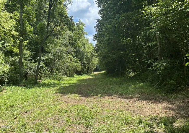 Photo 4 of Land for sale at 0 Bogard Rd, Cosby, TN 37722 | MLS# 3601773 | Listing updated on 2026-09-27