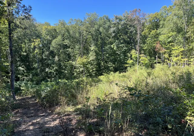 Photo 3 of Sale Pending at 223 Clear Springs Rd, Harriman, TN 37748 | MLS# 3602068 | Listing updated on 2026-10-03