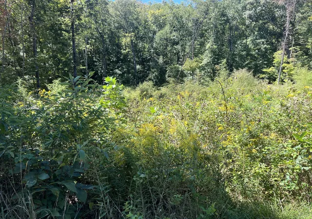 Photo 3 of Sale Pending at 223 Clear Springs Rd, Harriman, TN 37748 | MLS# 3602068 | Listing updated on 2026-10-03