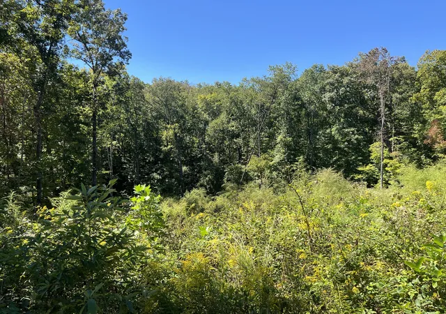 Photo 4 of Sale Pending at 223 Clear Springs Rd, Harriman, TN 37748 | MLS# 3602068 | Listing updated on 2026-10-03