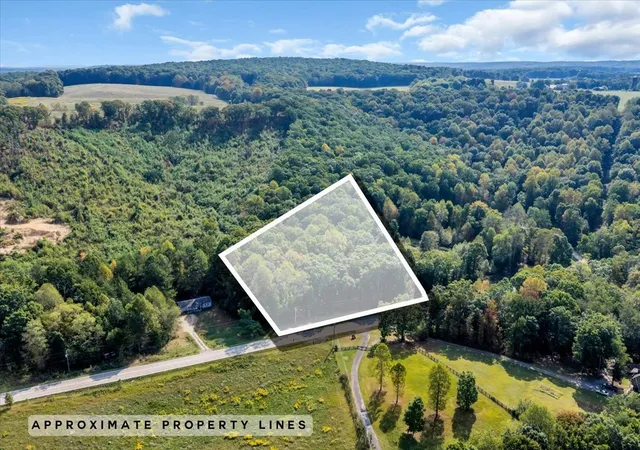 Photo 2 of Land for sale at 399 Sr Hwy, Palmer, TN 37365 | MLS# 3601852 | Listing updated on 2026-09-28