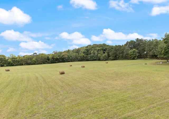 Photo 4 of Land for sale at 0 White Oak Rd, Mc Ewen, TN 37101 | MLS# 3603550 | Listing updated on 2026-10-01
