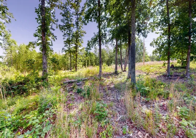 Photo 2 of Land for sale at 820 Overlook Trl, Stewart, TN 37175 | MLS# 3601912 | Listing updated on 2026-10-08