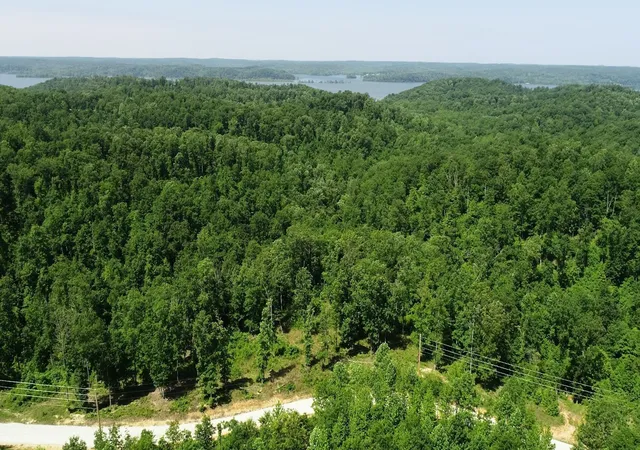 Photo 3 of Land for sale at 820 Overlook Trl, Stewart, TN 37175 | MLS# 3601912 | Listing updated on 2026-10-08