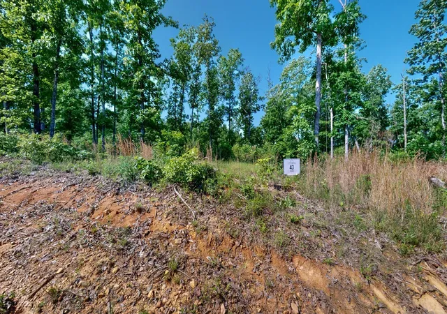 Photo 3 of Land for sale at 820 Overlook Trl, Stewart, TN 37175 | MLS# 3601912 | Listing updated on 2026-10-08