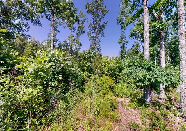 Photo 4 of Land for sale at 820 Overlook Trl, Stewart, TN 37175 | MLS# 3601912 | Listing updated on 2026-10-08