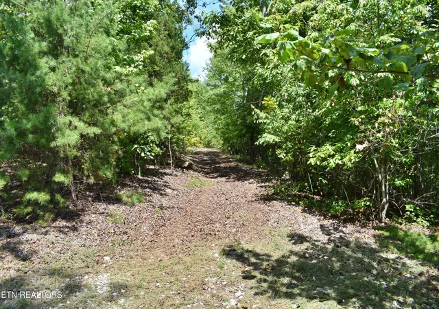 Photo 3 of Land for sale at 495 Waterside Way, Spring City, TN 37381 | MLS# 3601986 | Listing updated on 2026-09-28