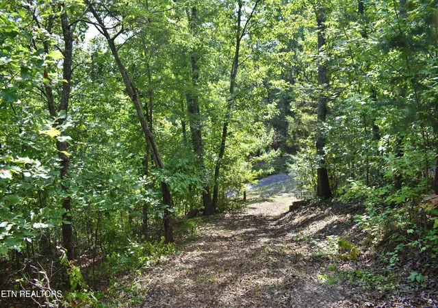 Photo 4 of Land for sale at 495 Waterside Way, Spring City, TN 37381 | MLS# 3601986 | Listing updated on 2026-09-28