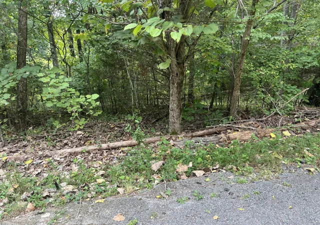 Photo 3 of Single family home for sale at 142 Hidden Holw Rd, Burkesville, KY 42717 | MLS# 3602151 | Listing updated on 2026-09-28