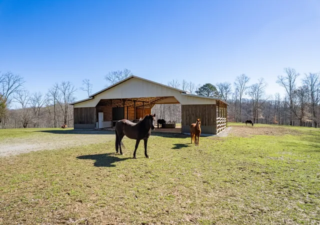 Photo 2 of Single family home for sale at 925 Bumpas Rd, Lawrenceburg, TN 38464 | MLS# 3602953 | Listing updated on 2026-09-30