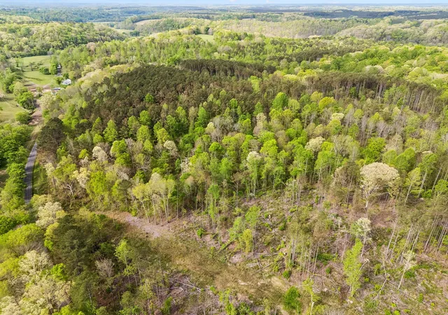 Photo 1 of Land for sale at 2 Pleasant Ridge Rd, Goodspring, TN 38460 | MLS# 3602558 | Listing updated on 2026-09-29